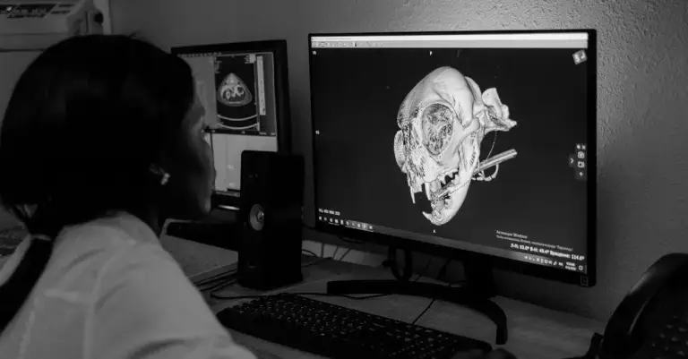 Biofabricação 3D: A Revolução da Medicina em 2026
