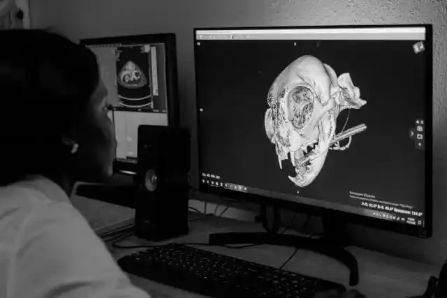 Biofabricação 3D: A Revolução da Medicina em 2026