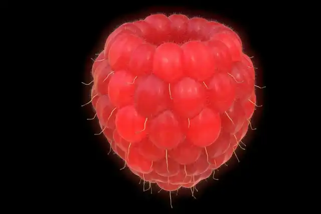 Biofabricação 3D: A Revolução da Medicina em 2026