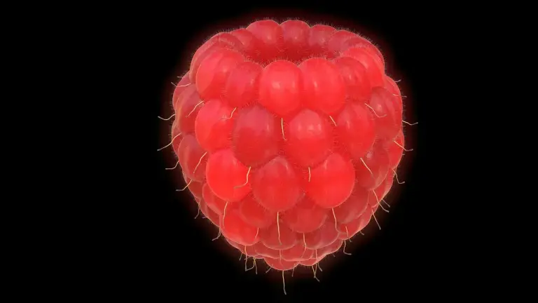 Biofabricação 3D: A Revolução da Medicina em 2026