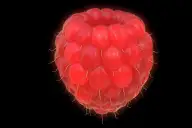 Biofabricação 3D: A Revolução da Medicina em 2026