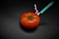 Biotecnologia na Cozinha: Sabores Sustentáveis e Personalizados 2026