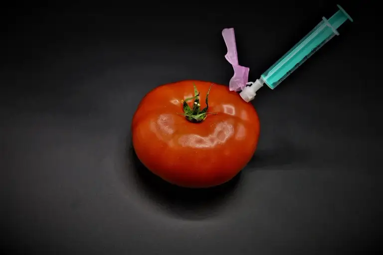 Biotecnologia na Cozinha: Sabores Sustentáveis e Personalizados 2026
