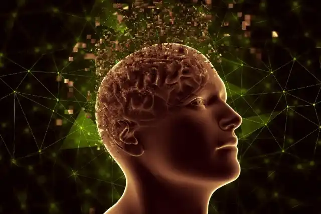 5 Curiosidades Científicas Sobre Como Funciona a Mente Humana