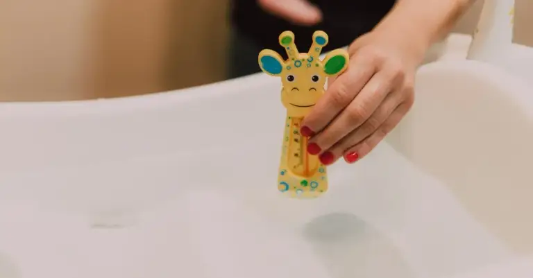 Do Banho ao Brinquedo: Tudo Que Você Acha Legal em Um Pet Shop!