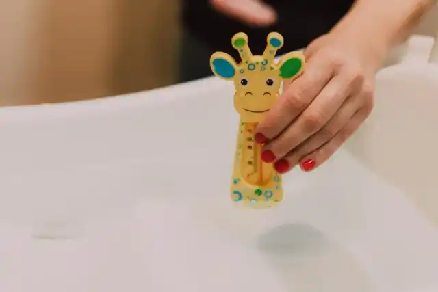 Do Banho ao Brinquedo: Tudo Que Você Acha Legal em Um Pet Shop!