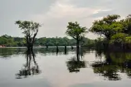 Ecoturismo na Amazônia: O Que Saber Antes de Ir