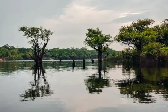 Ecoturismo na Amazônia: O Que Saber Antes de Ir