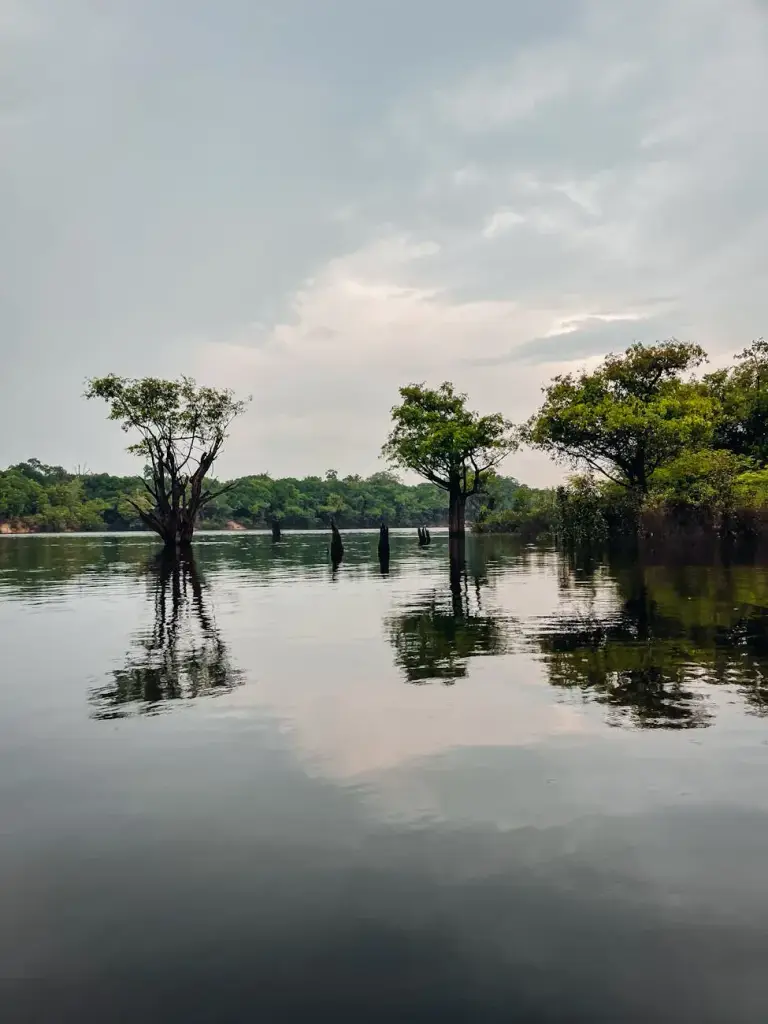 Ecoturismo na Amazônia: O Que Saber Antes de Ir