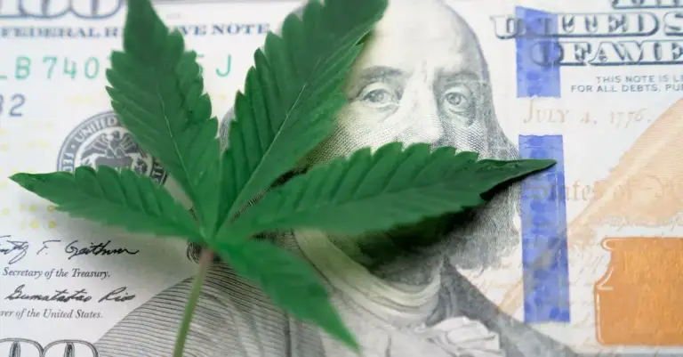 Finanças 'Verdes' 2026: Seu Dinheiro Impactando o Planeta e o Bolso!
