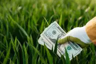 Finanças 'Verdes' 2026: Seu Dinheiro Impactando o Planeta e o Bolso!