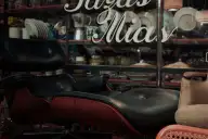 Poltronas Icônicas Brasileiras: Guia de Design e História