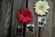 A Primeira Fotografia: Desvendando onde e quando tudo começou