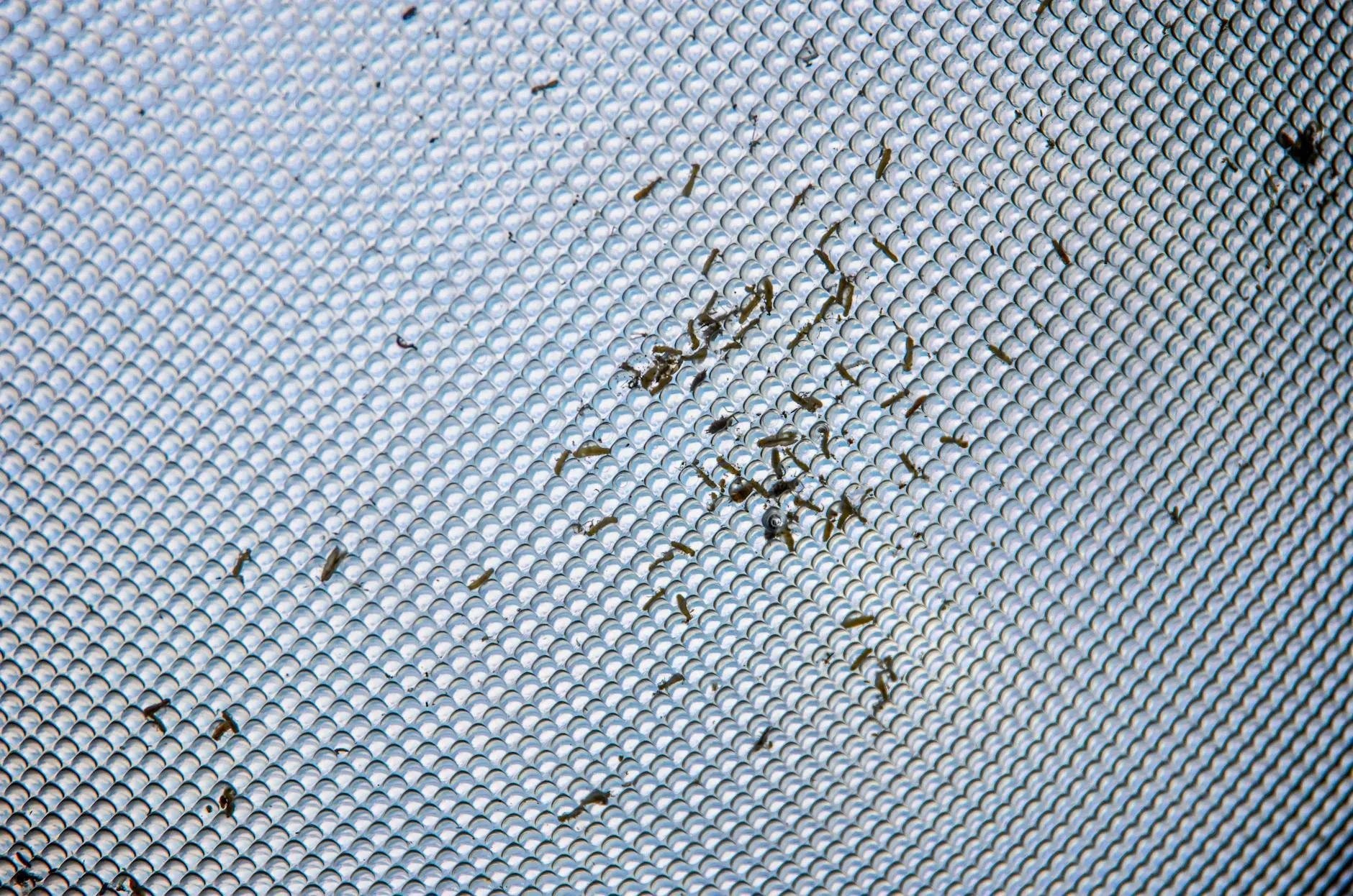 Foto profissional grátis de abstrair, abstrato, armadilha