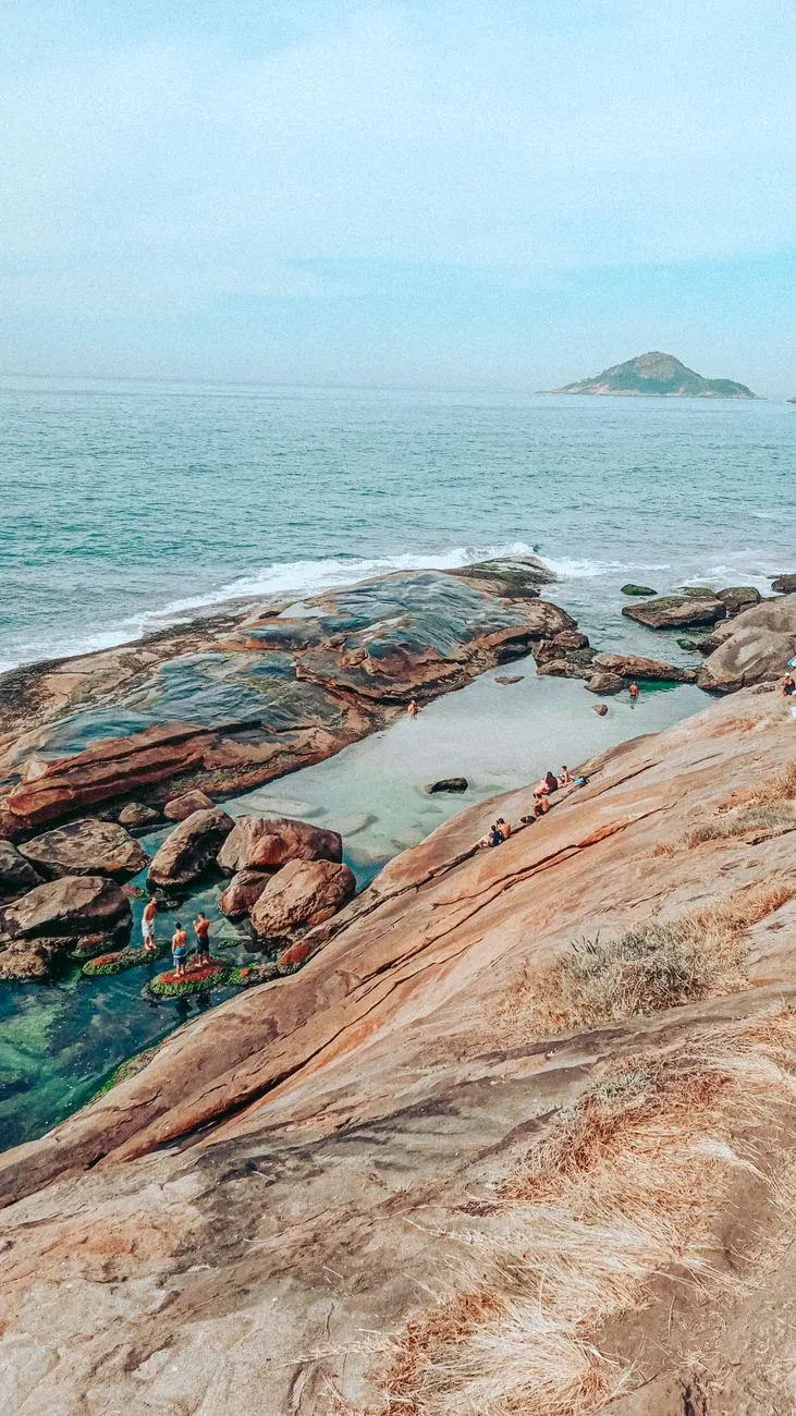 Homens Em Pé Sobre Pedras Cobertas De Algas Na Costa Rochosa